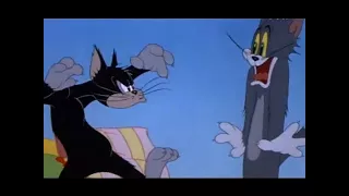 Tom and Jerry - Springtime for Thomas