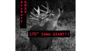 170" Iowa GIANT Arrowed at 10 YARDS