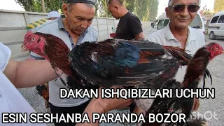 PARVOZLAR UCHUN YANGI VIDEO/ DAKAN BOZORI ESIN SESHANBA PARANDA BOZOR NARXLARI DAKAN ISHQIBIZLARI