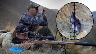 Sniping Wallabies in the Hills of New Zealand! (4K)