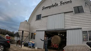 Morning chores on a quaint Maine dairy farm…