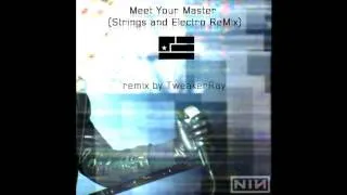 Nine Inch Nails - Meet Your Master (Strings and Electro ReMix by TweakerRay)