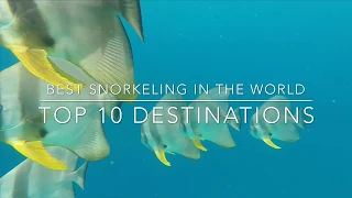 BEST SNORKELING IN THE WORLD: Top 10 Destinations