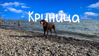 Криница. Как отдохнуть на море и не заболеть.