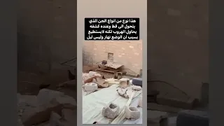 شاهد لحظة خروج الجن من جسم قط سبحان الله