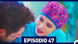 Um Milagre Episódio 47 (Dublagem em Português)