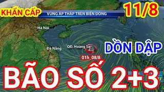 Dự báo thời tiết hôm nay ngày 10 tháng 8 năm 2022 | thời tiết 3 ngày tới | tin bão mới nhất