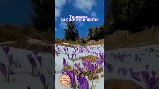 Такое настроение... Уж простите... Со смыслом.