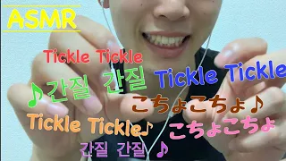 【ASMR】三ヶ国語でこちょこちょする動画 囁き声/Japanese/English【Tickle Tickle】/Korean【간질 간질】