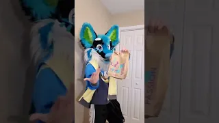 Fursuit's Sign Language for "National Taco Day!"