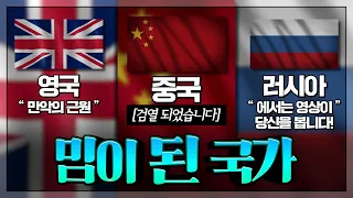 밈이 된 국가 : 국가마저 밈이 되어버리는 시대