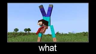 Minecraft wait what meme part 273 (scary Steve)