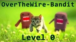 OverTheWire - Bandit (Overview + Level 0 walkthrough)