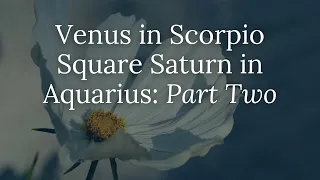 Venus in Scorpio Square Saturn in Aquarius: Part Two