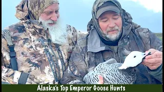 Franks Trophy  Emperor Goose Hunt Cold Bay, Alaska