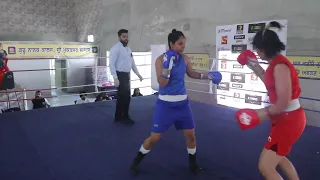 Won Shivani Dahiya Blue by TKO