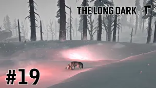 The Long Dark - Метель Надвигается/Прохождение/Эпизод 3/Серия #19