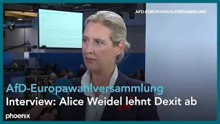 AfD-Europawahlprogramm: Interview mit Alice Weidel