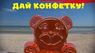 Желейный медведь Валера - Дай Конфетку (Red 21 - Ботаник - Давай Бит Пародия)