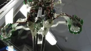 Stanford's 'Stickybot,' a Gecko-like robot, climbs vertical services