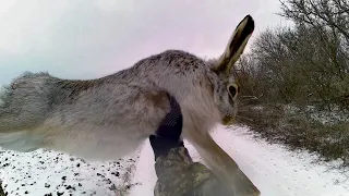 Охота на Зайца, Первый снег