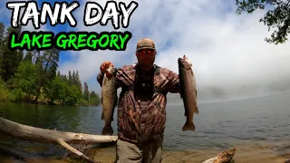 Huge Trout | Lake Gregory Trout Fishing | San Bernardino Mountains