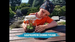 БАБОЧКАРИУМ. Я в шоке - куколка шевелится, что это значит?