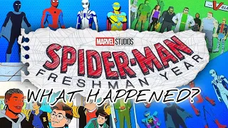 What Happened To Spider-Man: Freshman Year?