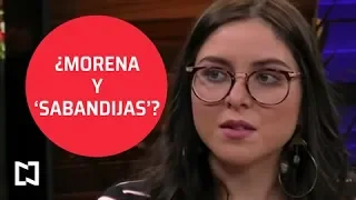 Morena, problemas y sabandijas a la vista - Punto y Contrapunto