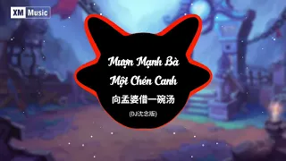 唐艺 - 向孟婆借一碗汤 (DJ沈念版) | Mượn Mạnh Bà Một Chén Canh Remix - Đường Nghệ @xmmusic8065