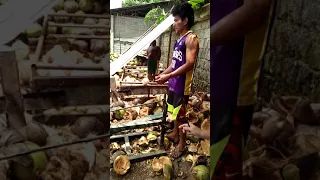 Pedal-operated Coconut Dehusker