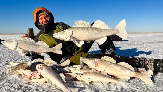 НАШЛИ ЛОГОВО ОГРОМНЫХ СУДАКОВ! СЛАБОНЕРВНЫМ РЫБАКАМ НЕ СМОТРЕТЬ! Рыбалка с КОМФОРТОМ 2023!