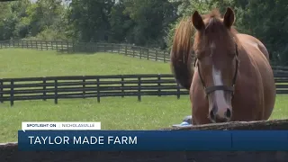 Spotlight on Nicholasville: Taylor Made Farm