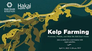 Kelp Farming: Promises, Pitfalls, and What We Still Don’t Know