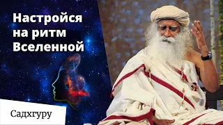 Всё что вам нужно – найти свой ритм