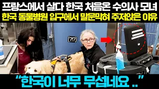 [해외반응] "한국이 너무 무섭네요.." 프랑스에서 한국 처음 온 외국인이 한국 동물병원 입구에서 경악한 이유