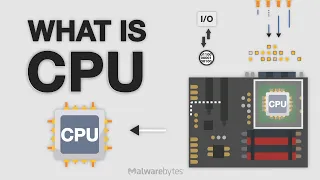 What is a CPU? How can you protect your CPU