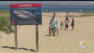 Cape Cod beachgoers warned about sharks