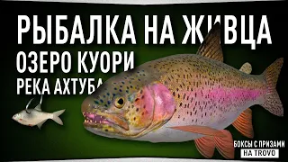 Рыбалка на живца • Куори, Ахтуба и другие водоёмы • Русская Рыбалка 4