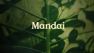 Welcome to Mandai, our new brand identity