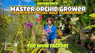 Master orchid grower Mercedes is back! She shares some of the most spectacular orchids in Spring.
