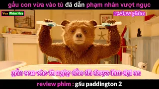 Gấu con Tinh Nghịch làm Đại Ca nhà Tù - review phim gấu paddington 2