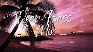 🌴Deep Bass Mix #2024 #2 (Ft. Vincent pod)