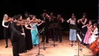 Greensleeves arranged by Toni Stanick performed by VIOLINPOWER ensemble