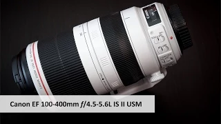 Canon EF 100-400 mm f/4.5-5.6L IS II USM | Leichtes Tele-Zoom im Test [Deutsch]