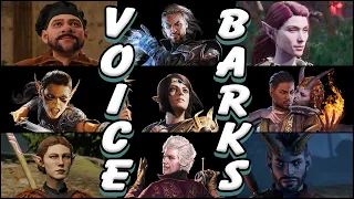 Baldur's Gate 3 Voice Lines: Patch 5 Point & Click Barks [spoilers]