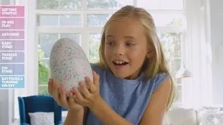 Hatchimals Disappoint Many Families Who Say Hyped-Up Toys Didn't Hatch
