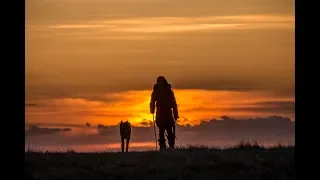 NÁČELNÍK (trailer) - rodinné dobrodružstvo od 30. augusta v kinách