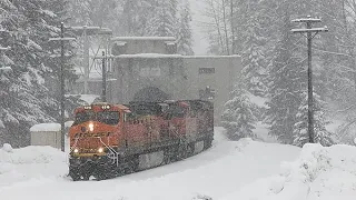 Winter on Stevens Pass Trailer