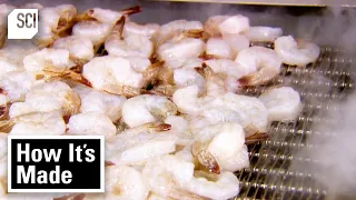 How Frozen Shrimp and Thai Rice Boxes Are Made! | How It’s Made | Science Channel